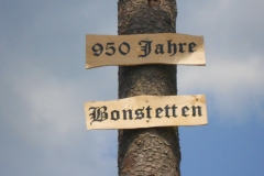 950 Jahre Bonstetten - Aufbau