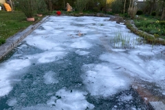 2020-05-07 -Öl auf stehendem Gewässer 