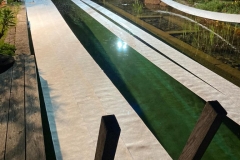 2021-05-03-Öl auf stehendem Gewässer