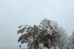 Einsätze am 4.12.2023