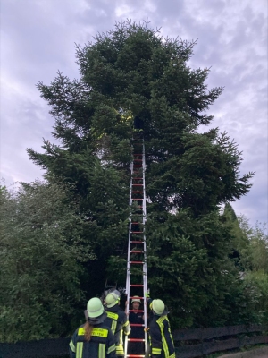 2022-07-04-Tierrettung