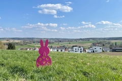 Osterfeuer Feuerfüchse am 6. April 2023