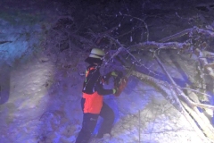 THL Baum auf Straße am 1.12.2023