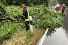 THL Baum auf Straße am 21. Juni 2023