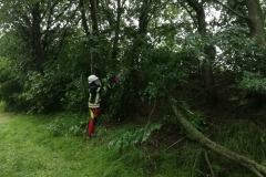 THL Baum auf Straße am 29.06.2021