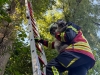 2025-08-11-thl-katze-1