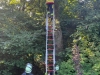 2025-08-11-thl-katze-2