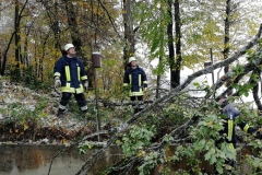 THL1 - Baum auf Haus am 28.10.2018