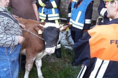 Übung landwirtschaftliches Gebäude am 17.06.2016