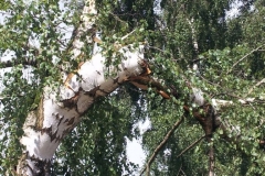 Unwetter beim historischen Fest am 4.08.2013