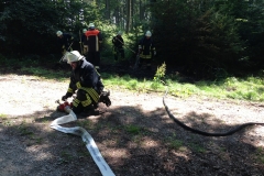 Waldbrand 21.07.2013