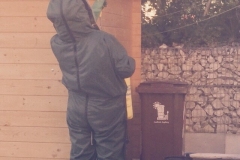 Wespennest am 30.06.2015